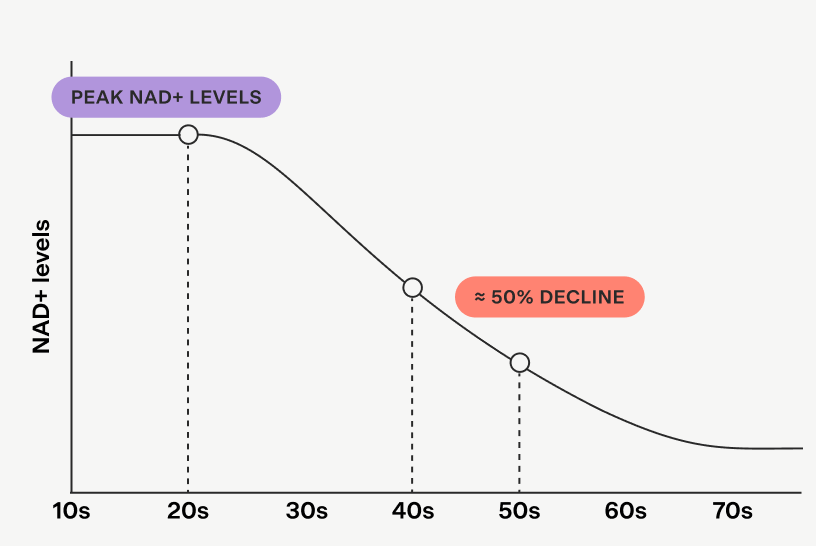 NAD+ levels chart